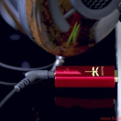 AudioQuest Dragonfly Red und Dragonfly Black