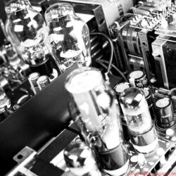 Audio Note (UK) Meishu