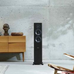 Dynaudio FocusXD