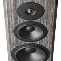 Dynaudio FocusXD