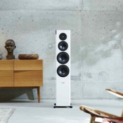 Dynaudio FocusXD