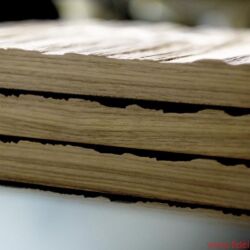 Live Act Audio Emotion Line LAS 115