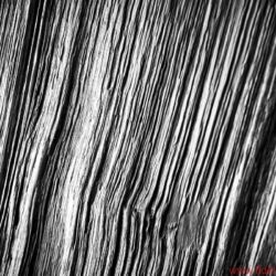 Live Act Audio Emotion Line LAS 115