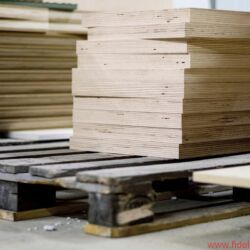 Live Act Audio Emotion Line LAS 115