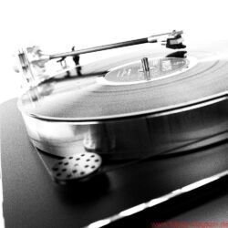 Acoustic Signature WOW XL Plattenspieler / TA 1000 Tonarm / Soundsmith Carmen Moving Iron Tonabnehmer