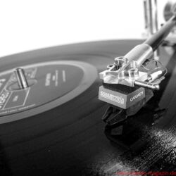 Acoustic Signature WOW XL Plattenspieler / TA 1000 Tonarm / Soundsmith Carmen Moving Iron Tonabnehmer