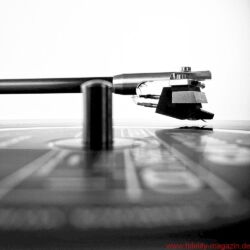 Acoustic Signature WOW XL Plattenspieler / TA 1000 Tonarm / Soundsmith Carmen Moving Iron Tonabnehmer