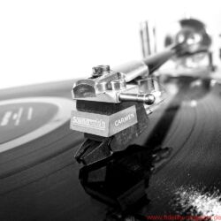 Acoustic Signature WOW XL Plattenspieler / TA 1000 Tonarm / Soundsmith Carmen Moving Iron Tonabnehmer