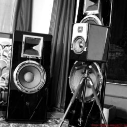 FIDELITY visits Mr. Mark Levinson of Daniel Hertz on the island of Certosa, Venice, Italy