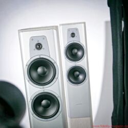 Dynaudio Contour 30 Standlautsprecher