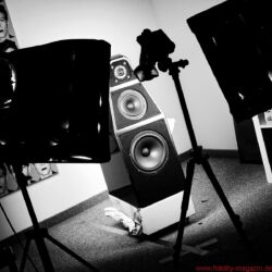 FIDELITY 31 Wilson Audio Yvette Lautsprecher