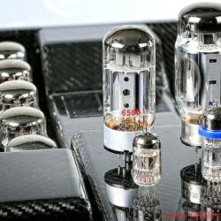Bittner Audio Tonmeister 500 Endverstärker