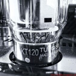 Bittner Audio Tonmeister 500 Endverstärker