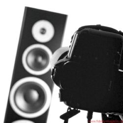 Dynaudio Excite X44 Standlautsprecher