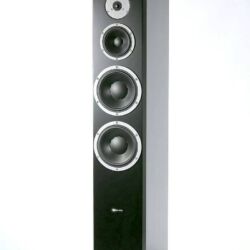 Dynaudio Excite X44 Standlautsprecher
