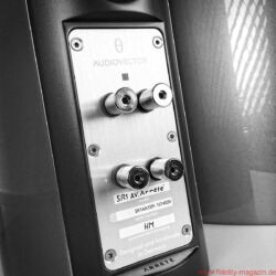 Audiovector SR1 Avantgarde Arret Lautsprecher