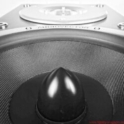 Audiovector SR1 Avantgarde Arret Lautsprecher