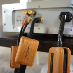 D’Agostino Momentum Amplifiers
