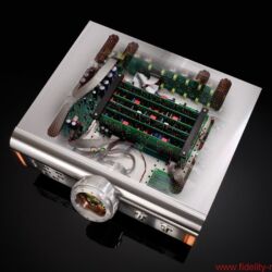 D’Agostino Momentum Amplifiers