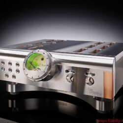 D’Agostino Momentum Amplifiers