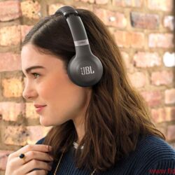 JBL Everest 310