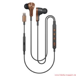 Pioneer RAYZ