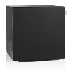 Saxx DS12 Subwoofer