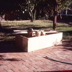 Wilson Audio Specialties Heritage