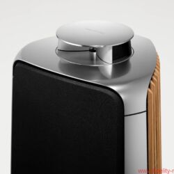 Bang & Olufsen BeoLab 50