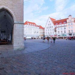 FIDELITY zu Besuch bei Audes in Estland - Tagsüber ist die Altstadt von Tallinn schon sehenswert, abends herrscht im Sommer geradezu mediterranes Flair