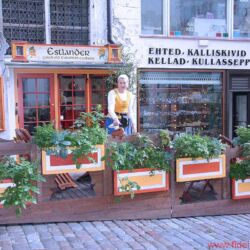 FIDELITY zu Besuch bei Audes in Estland - Tagsüber ist die Altstadt von Tallinn schon sehenswert, abends herrscht im Sommer geradezu mediterranes Flair