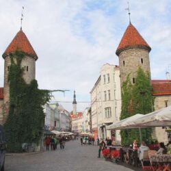 FIDELITY zu Besuch bei Audes in Estland - Tagsüber ist die Altstadt von Tallinn schon sehenswert, abends herrscht im Sommer geradezu mediterranes Flair