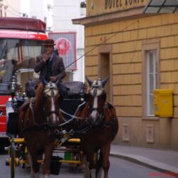 Wien