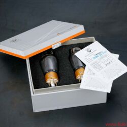 CanEVER ZeroUno plus Preamplifier DAC