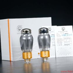 CanEVER ZeroUno plus Preamplifier DAC