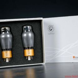 CanEVER ZeroUno plus Preamplifier DAC