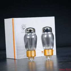 CanEVER ZeroUno plus Preamplifier DAC