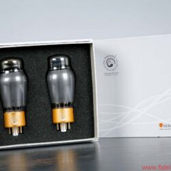 CanEVER ZeroUno plus Preamplifier DAC