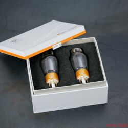 CanEVER ZeroUno plus Preamplifier DAC