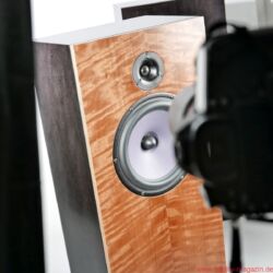DeVore Fidelity Orangutan 93