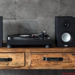 Magnat Multi Monitor 220