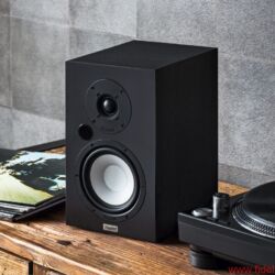 Magnat Multi Monitor 220