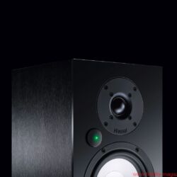 Magnat Multi Monitor 220