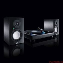 Magnat Multi Monitor 220