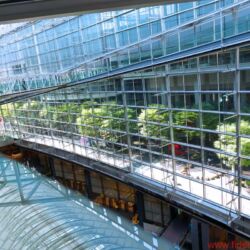 Tokyo International Audio Show 2017