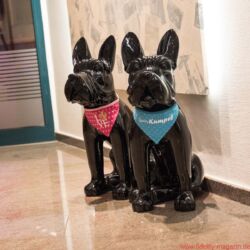 Analog Forum der Analog Audio Association im Mercure Hotel Krefeld 2017