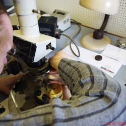 Speakers Corner Kai Seemann und das Pallas Presswerk
