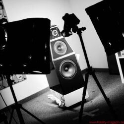 Wilson Audio Yvette Black & White