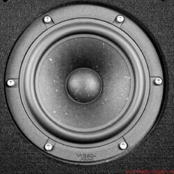 Wilson Audio Yvette Black & White