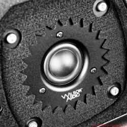 Wilson Audio Yvette Black & White